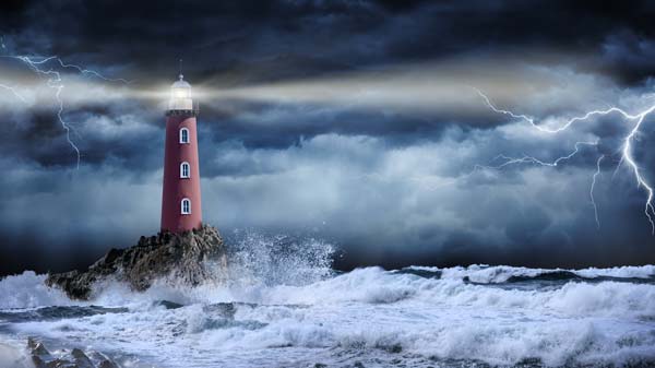 Navigating Safe Harbors in the Stormy Seas of Healthcare Regulations